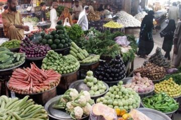 سیلاب کے اثرات کراچی کی منڈیوں تک جا پہنچے، سبزیاں 100 فیصد سے زیادہ مہنگی
